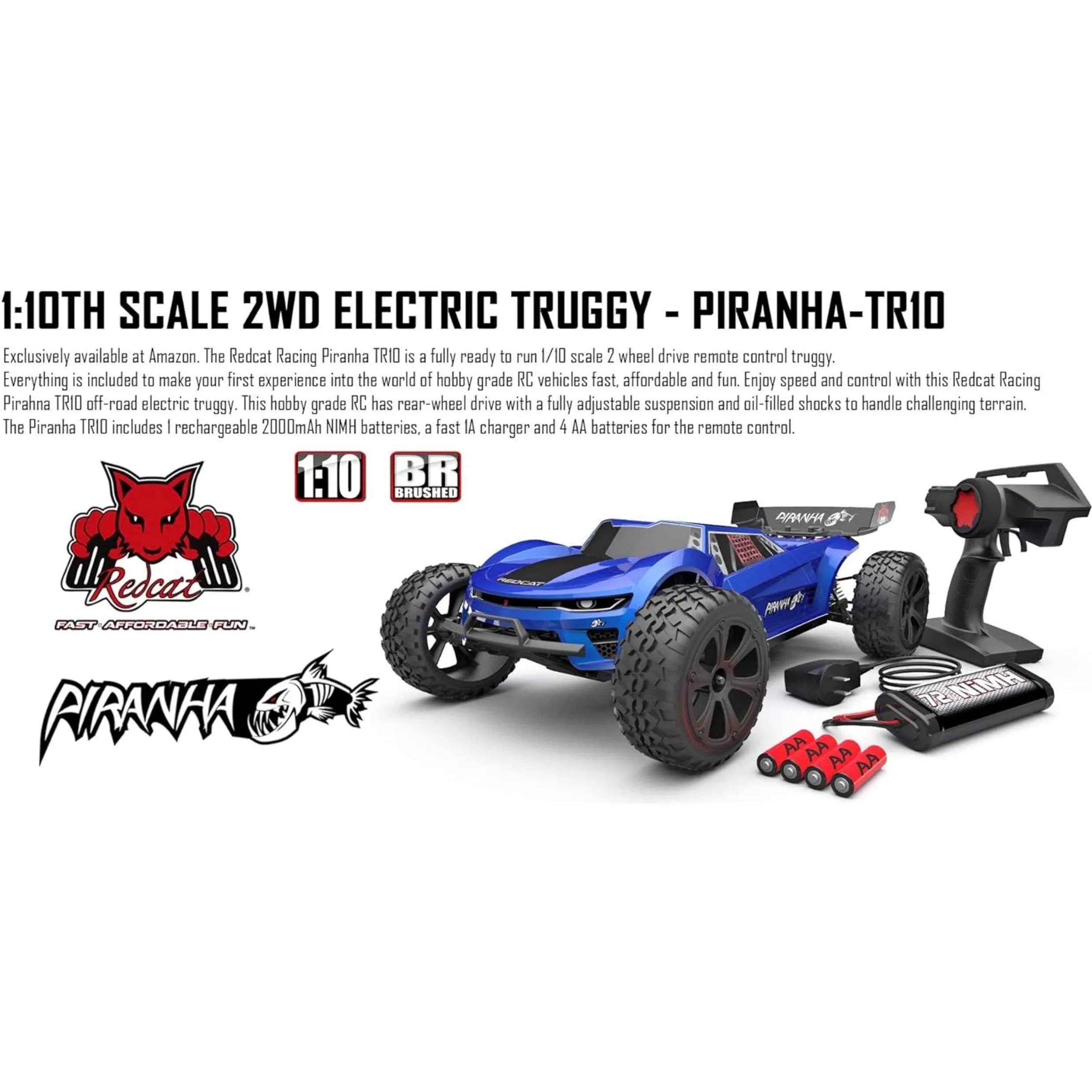 1:10th scale 2WD electric truggy with remote control on a white background
